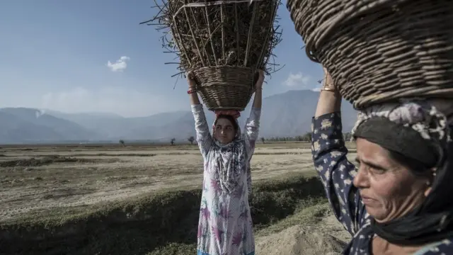 શગુફ્તા (ડાબી બાજુએ) અને હાજરા બેગમ વુલર તળાવ પરથી પરત ફરી રહી છે