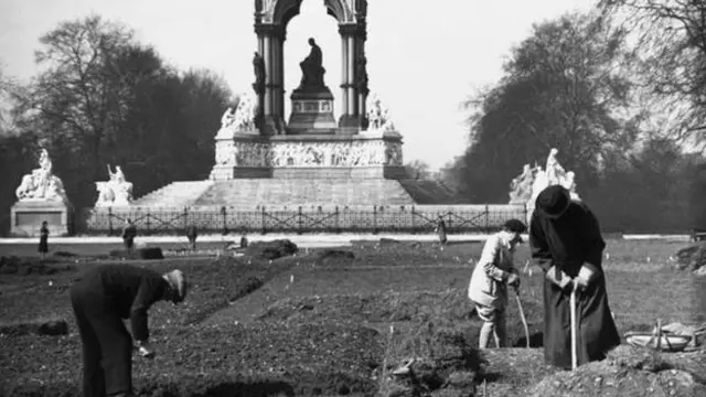 makanan, wabah kelaparan, kelaparan
