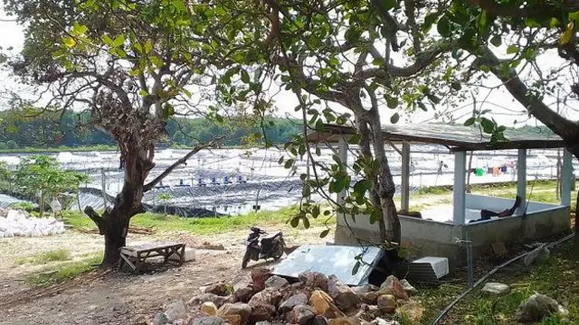 Gakkum KLHK Wilayah Jawa Bali Nusa Tenggara atau Jabalnusra telah menetapkan empat tersangka dugaan perusakan lingkungan Karimunjawa.