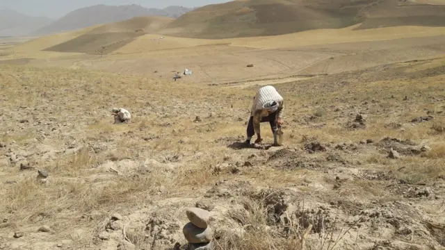 افغانستان