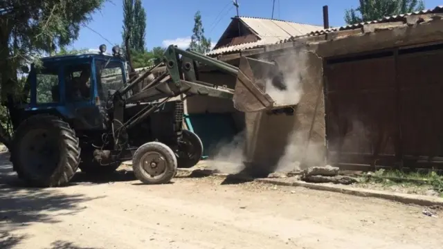 бузуу