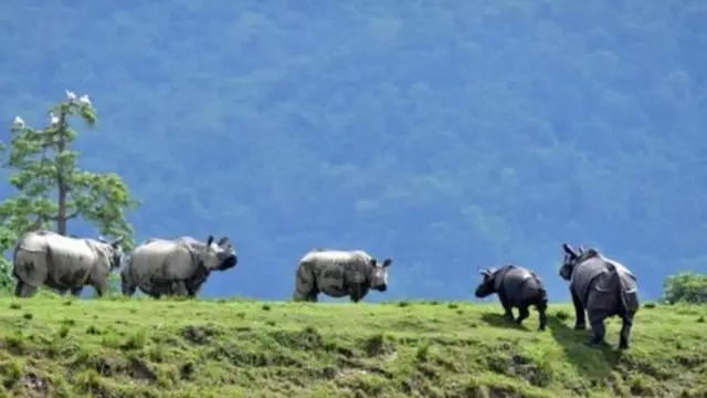 आसाम