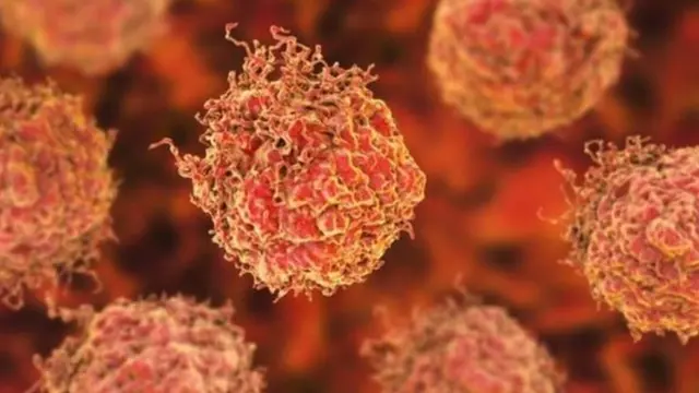 Askar kiyimidagi sexy qizlar