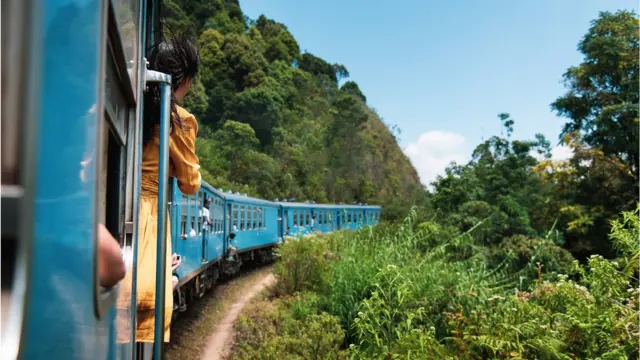 mulher vê paisagemjogo br betanodentro do trem