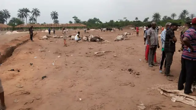 Ụfọdụ ndị na-ere ehi n'ahịa ahụ