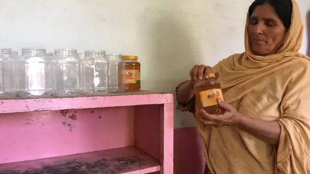 بي بي