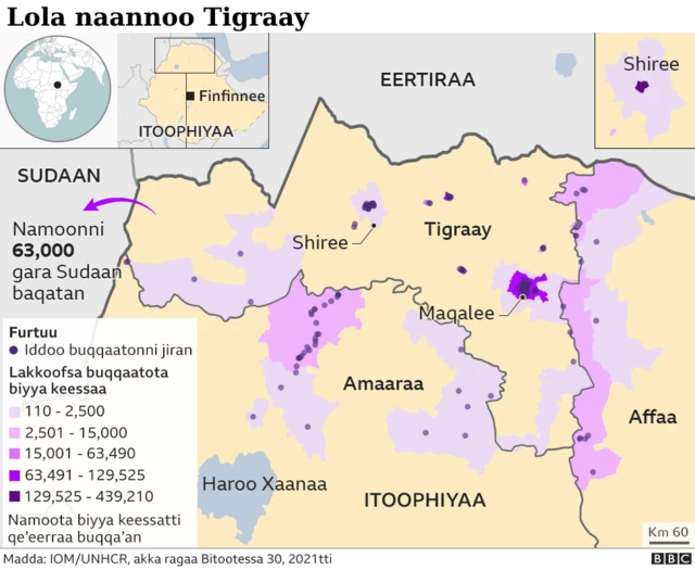 Sababa waraana Tigraayiin miidhaa qaqqabe