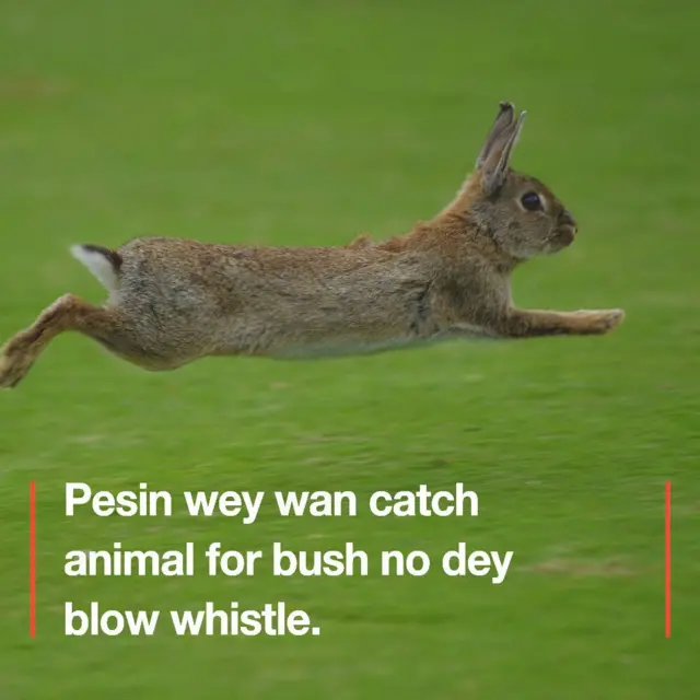 Adams Igyo Lydia Egye say make we take dis proverb shine eye