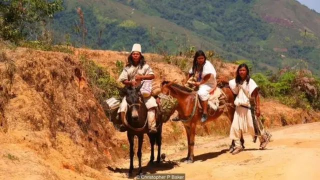 مسئولیت مردمان سیرا نوادا نسبت به محیط‌زیست حالا با فوریت بیشتری همراه شده است