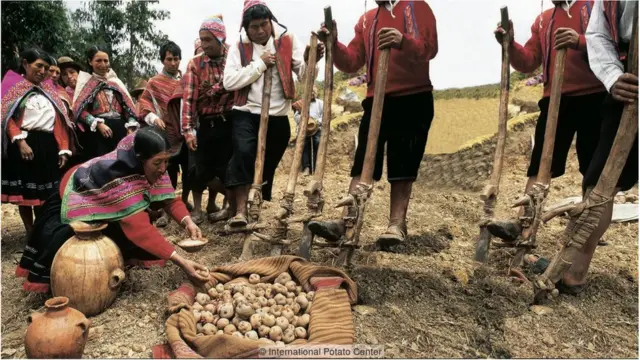 As comunidades indígenas nos Andes ainda mantêm uma forte relação com a batata