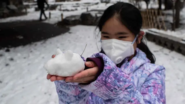 कोरोना वायरस