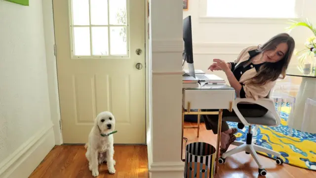 Trabajadora con su perro