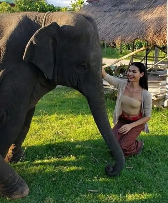 นางแบบข้ามเพศ