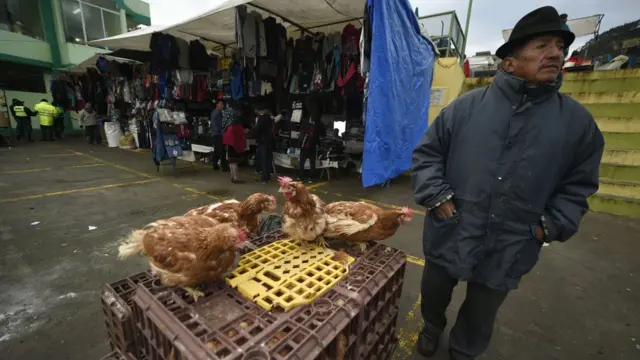 Gallinas en un mercado de Cotopaxi, en Ecuador