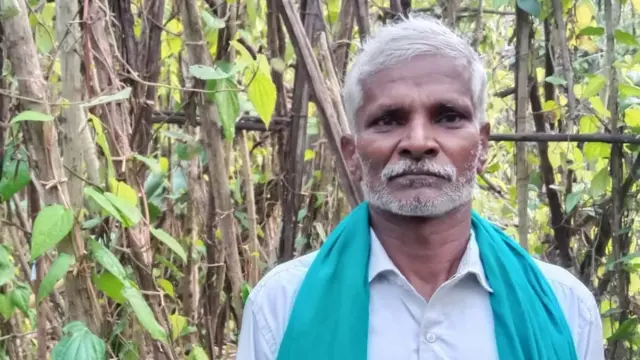 வெற்றிலை விவசாயி