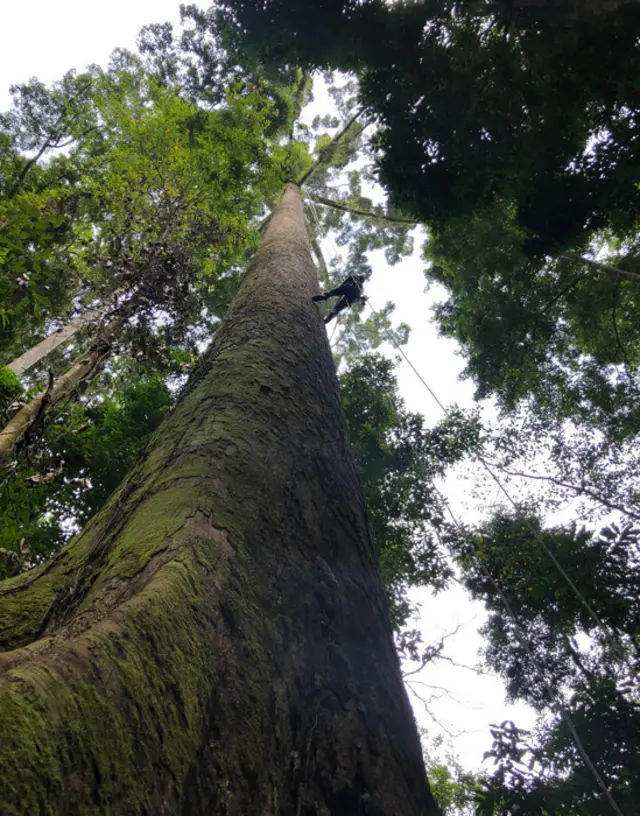 Un investigador escalando Menaar