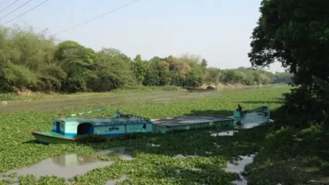 বাংলাদেশের নদ-নদীকে জীবন্ত সত্তা ঘোষণা - এর মানে কী? - BBC News বাংলা