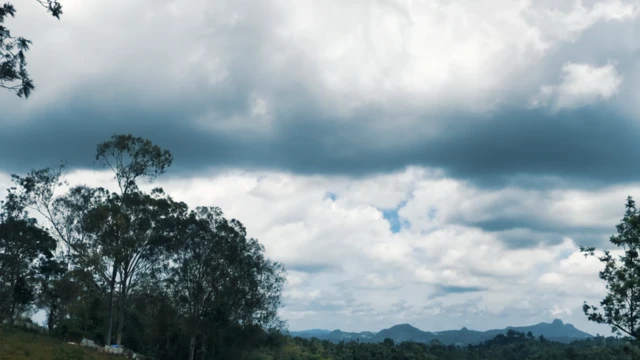 चेरिया वेलुता