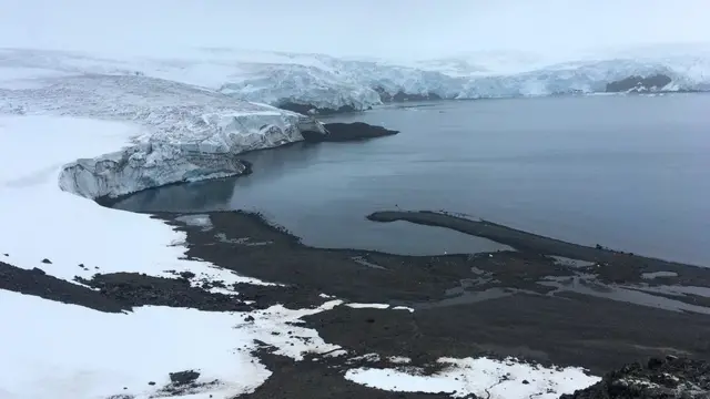 மீண்டும் அண்டார்டிகாவில் உலவுமா டைனோசர்கள்?