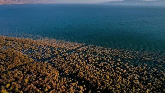بحيرة طبريا