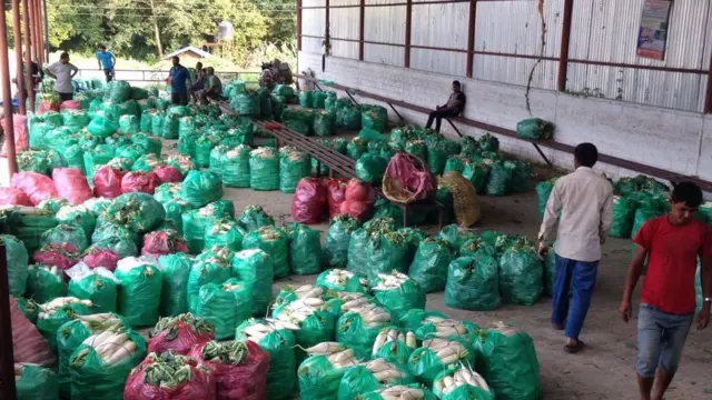 तरकारी संकलन केन्द्र