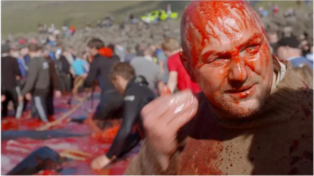 полювання на дельфінів