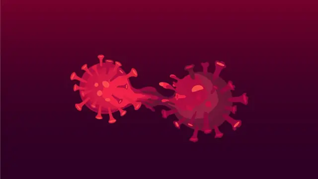 कोरोना वायरस