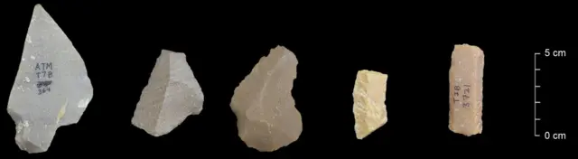 அதிரம்பாக்கம் தொல்லியல் மேடு