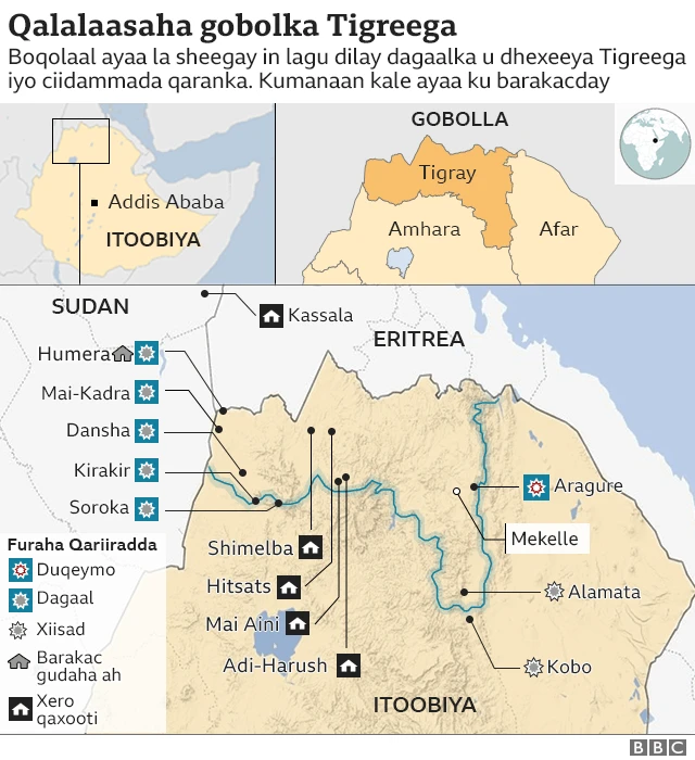 Qaynonaning dugonasini sikadi