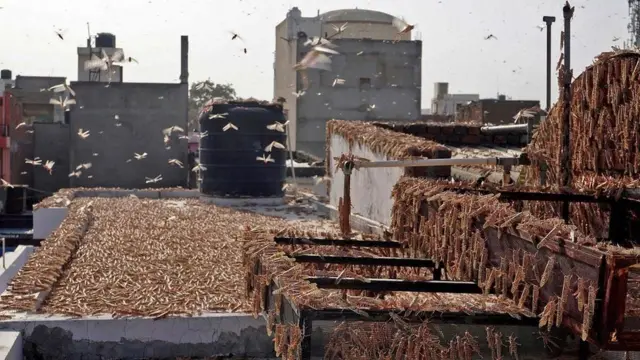 જયપુરની તસવીર