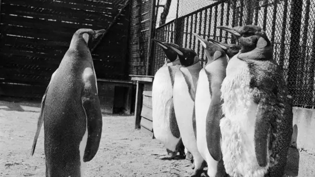 능력이 더 뛰어나다고 해서 어울리지 못하라는 법은 없다.