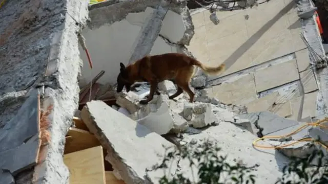 மெக்சிகோ