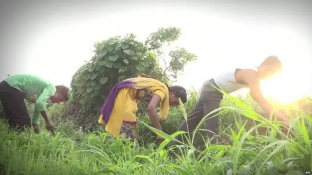 शेती, अर्थव्यवस्था