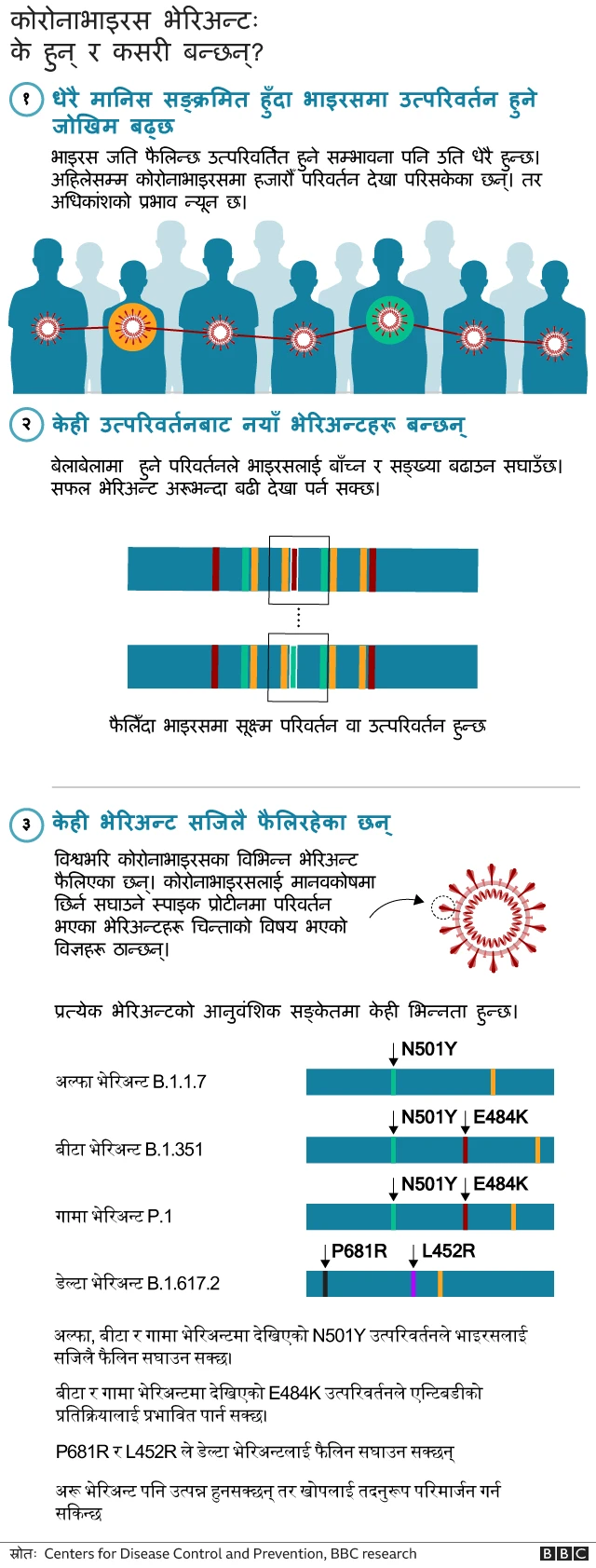कोरोनाभाइरसका विभिन्न भेरिअन्टहरू