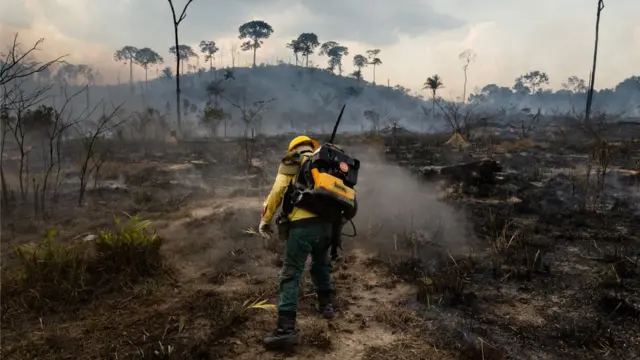 Queimada na Amazônia