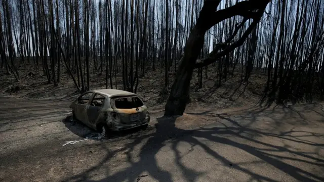 Остов сгоревшей машины в лесу