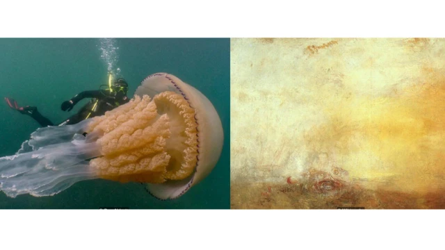 lukisan, foto 2019, peristiwa 2019