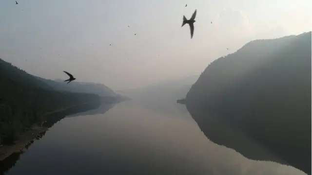 Дым от пожаров в Красноярске