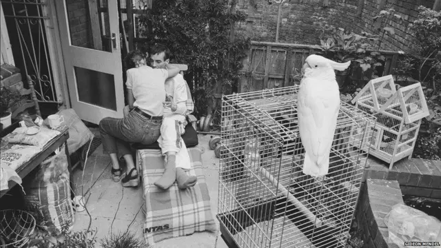 मरीज और नर्स