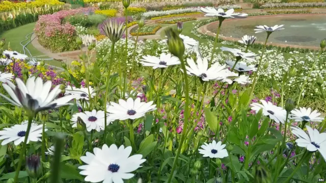 ਮੁਗਲ ਗਾਰਡਨ