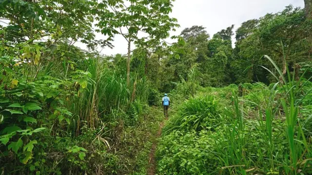 Real Estate Investment in South-East Nigeria: Uru dị n'ịzụ na ire ala na mpaghara Ọwụwa Anyanwụ