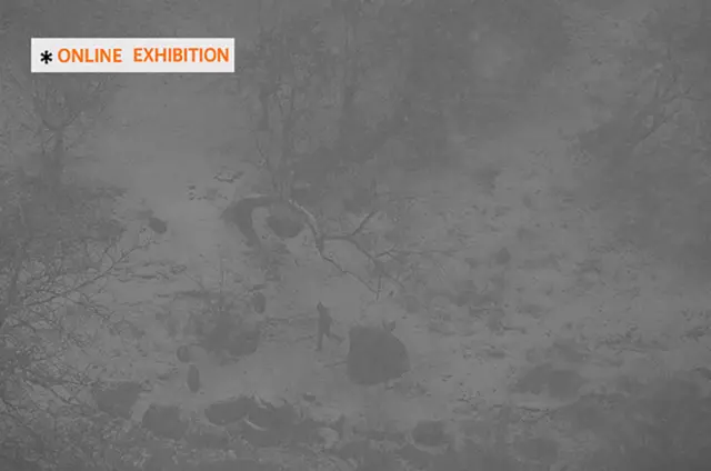 نمایش آنلاین راه ابریشم