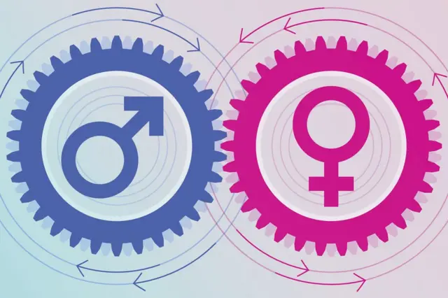 Masculino y femenino