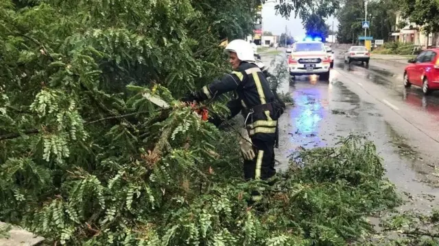 негода