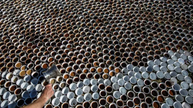 8 372 чашки кави