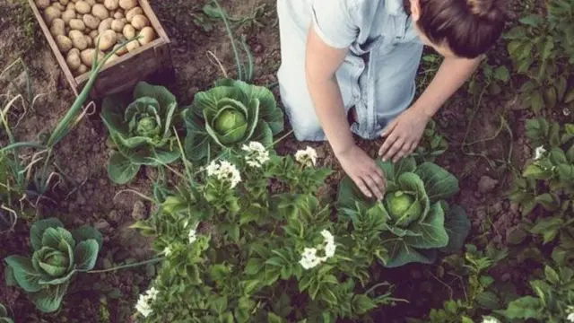 Кыймыл-аракеттин жардамы менен эстеп калыңыз.