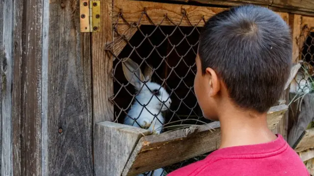 переселенці