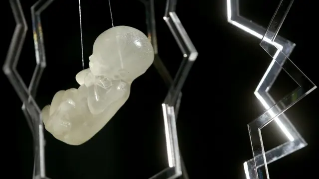 జెనెటిక్స్