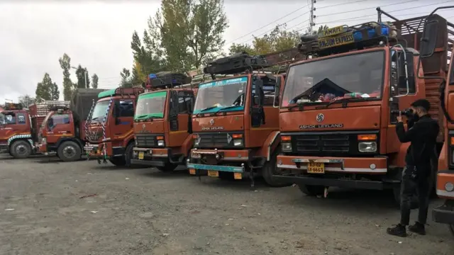 ਜੰਮੂ-ਕਸ਼ਮੀਰ ਵਿੱਚ ਲਾਈਨ ਵਾਰ ਖੜ੍ਹੇ ਟਰੱਕ