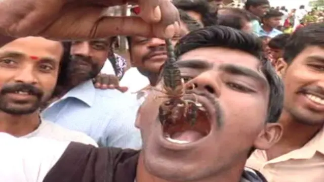 తేళ్ల పంచమి కందుకూరు